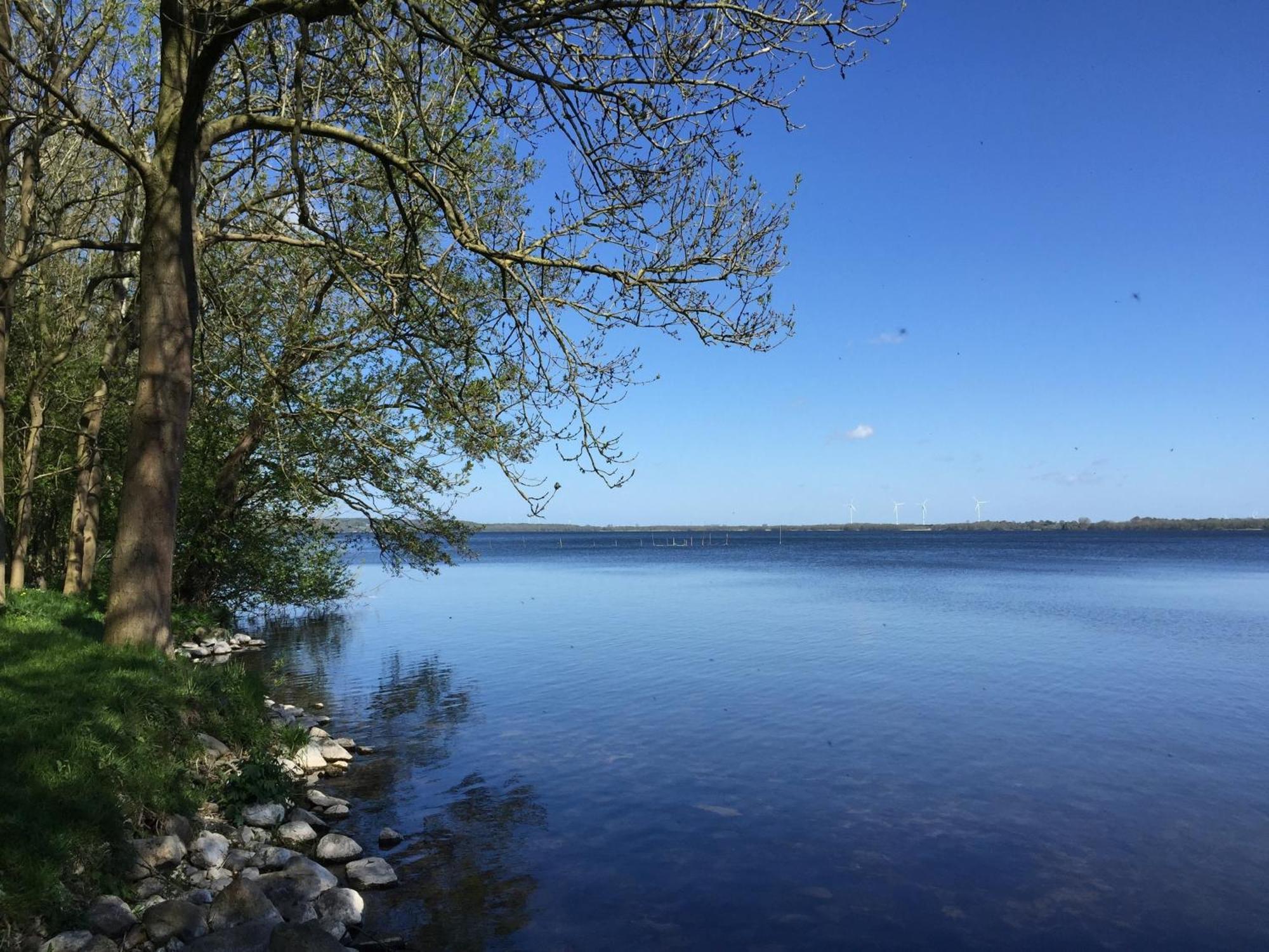 Frietied Am Wittensee Bunsdorf Exteriör bild